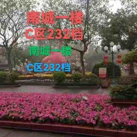 奥丹莉-南城1楼C232 产品图