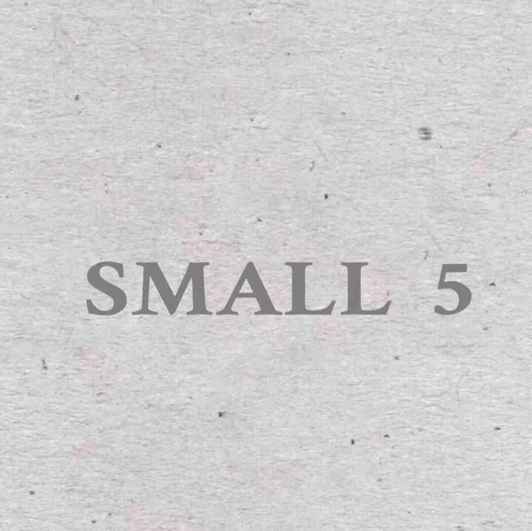 SMALL 5 产品图
