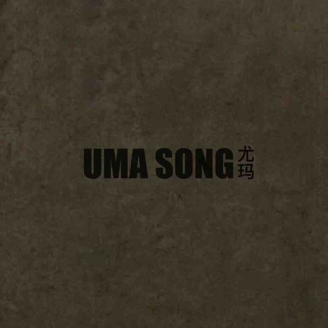 UMA SONG-新中国A501 产品图