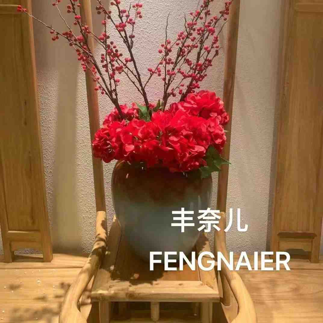丰奈儿 产品图