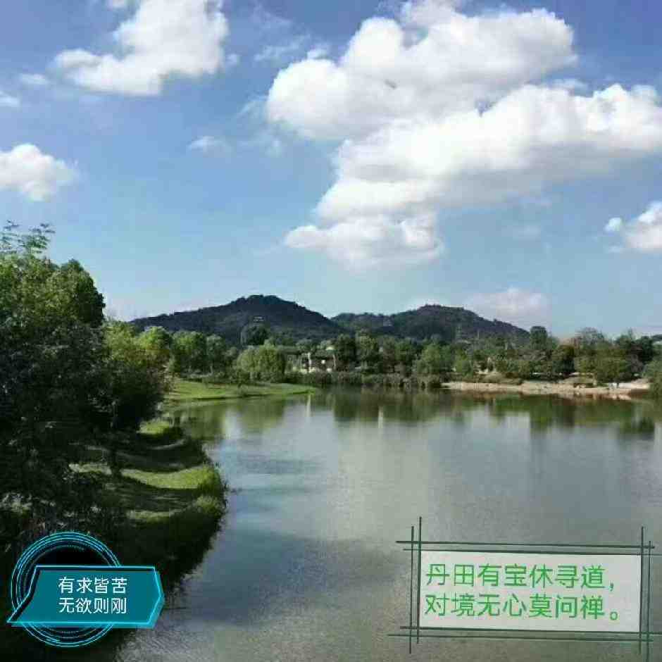 文峰 产品图
