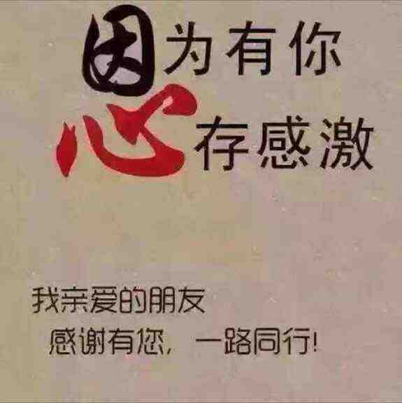 365羊绒大衣 产品图