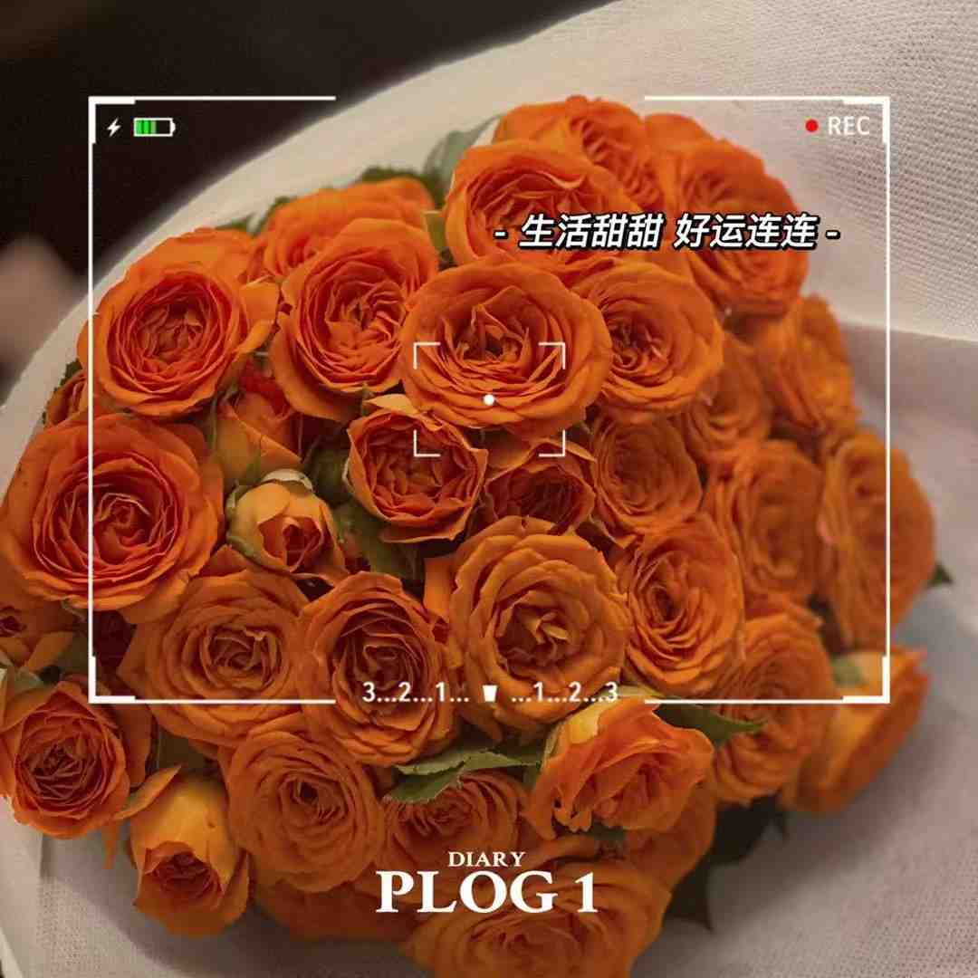 梦梓女 产品图