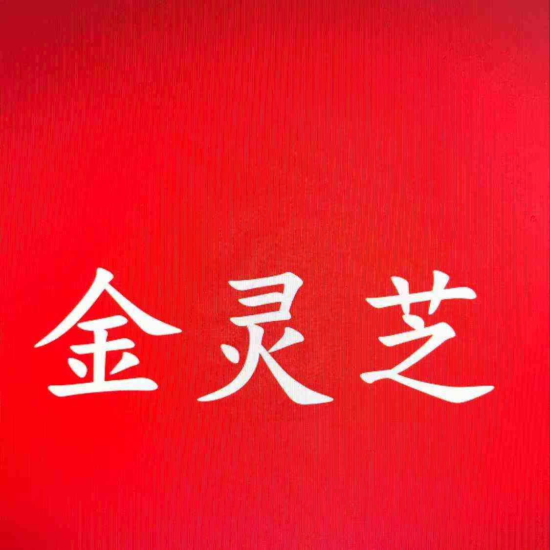 金灵芝-嘉兴路697 产品图