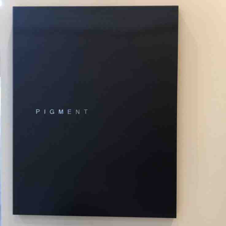 pigment-nuzzon6f 612 产品图