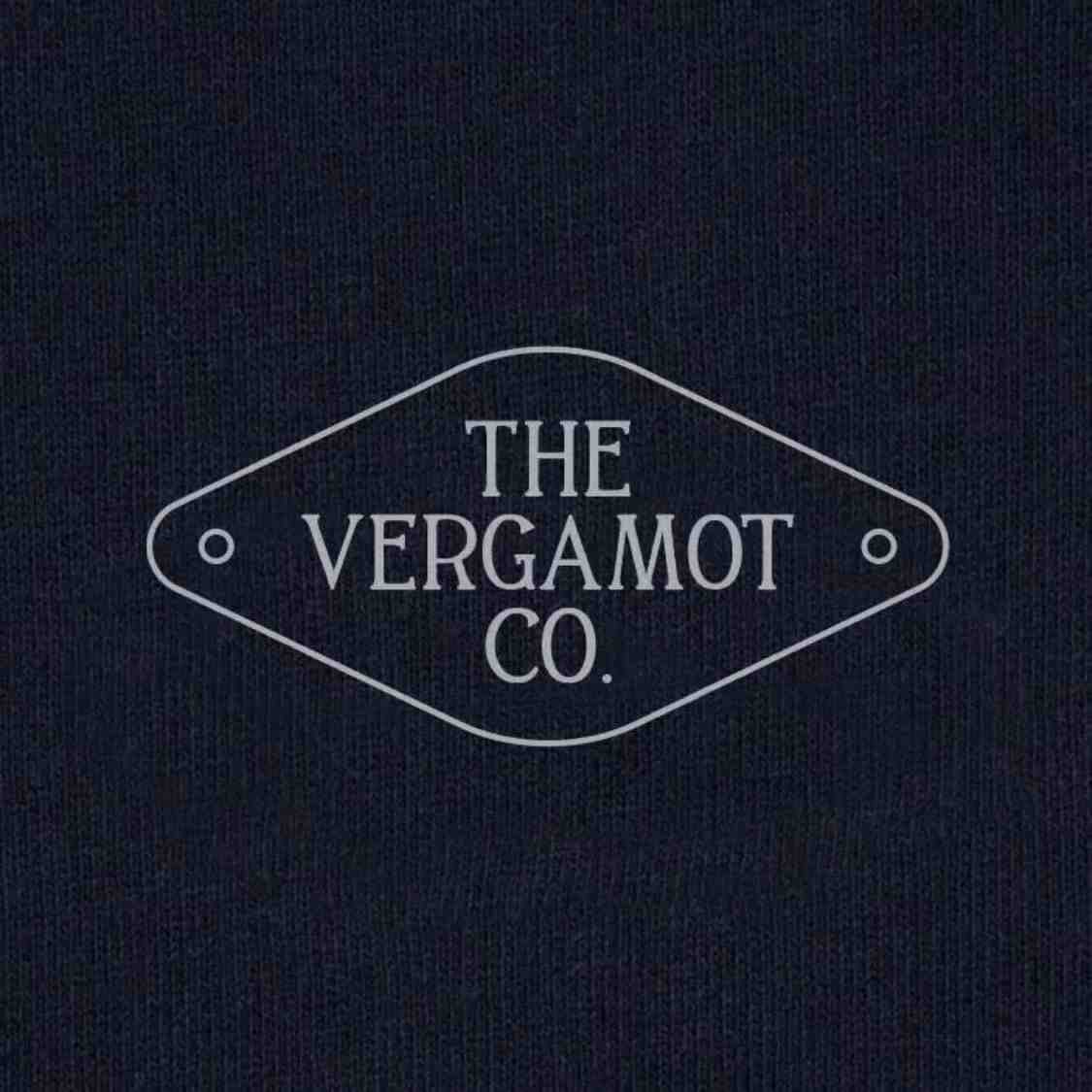 VERGAMOT-APM 2F64 产品图
