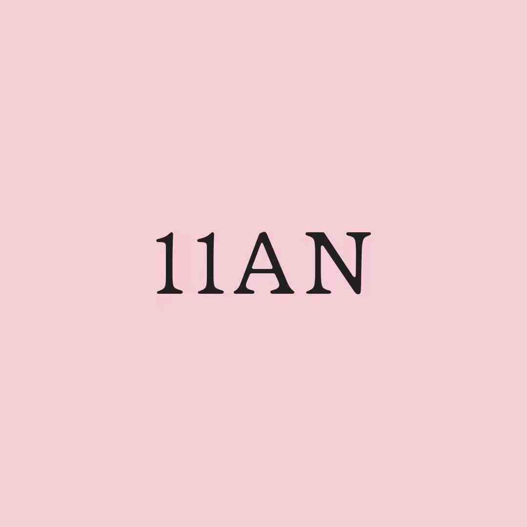 11AN-C618 产品图