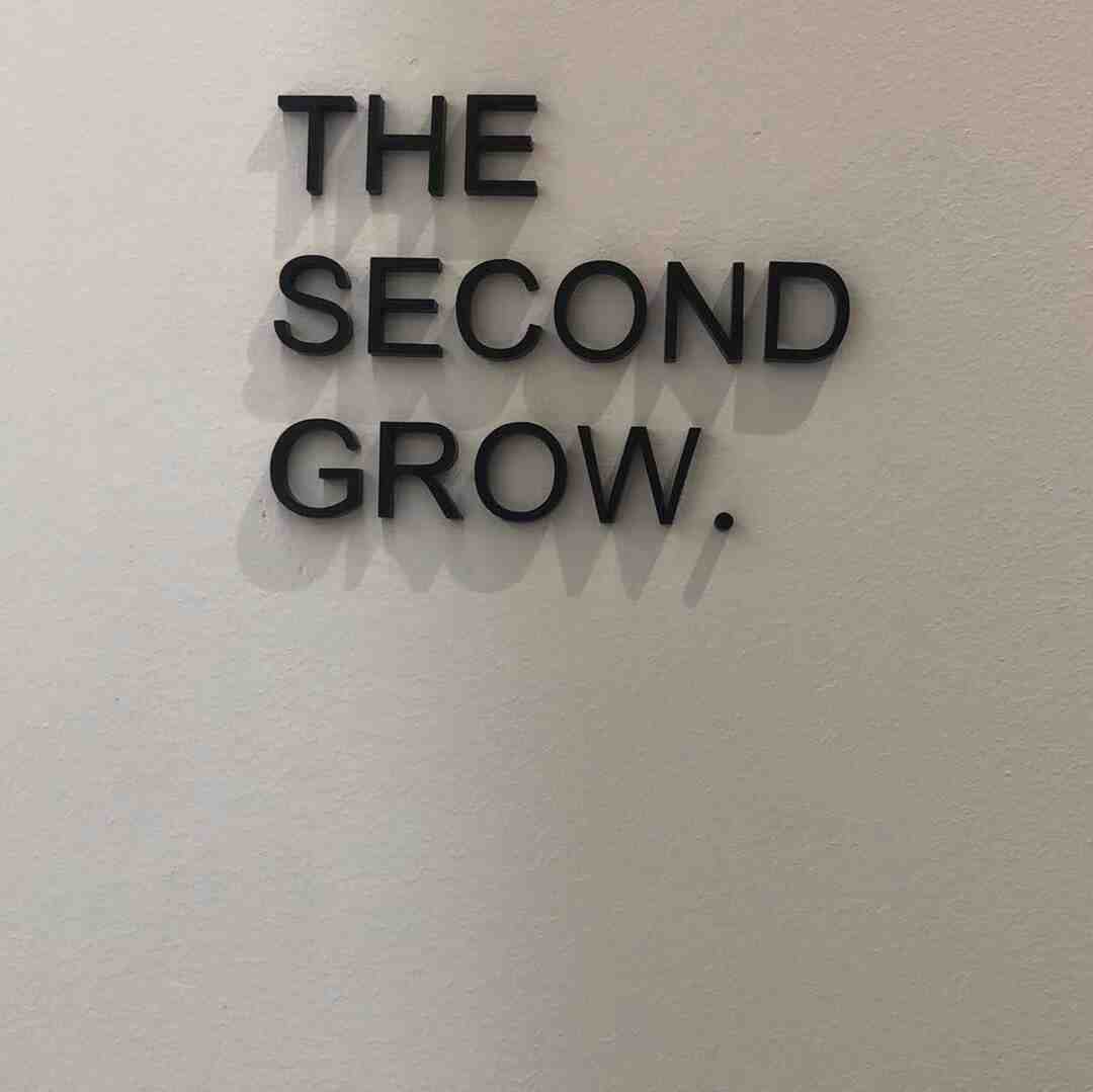 THE SECONDGROW-APM124 产品图