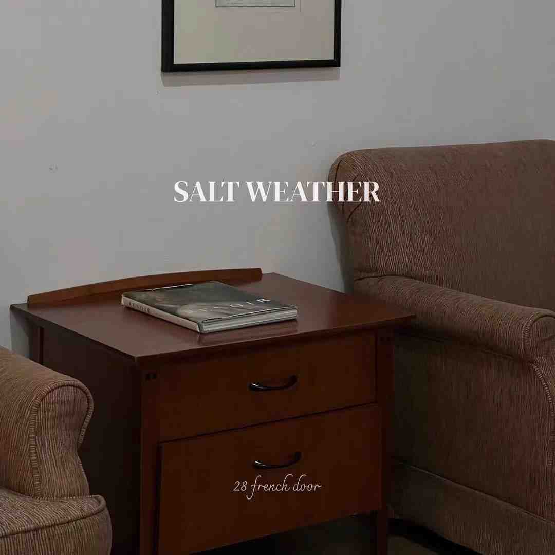 SALTWEATHER-THEOT B1G28 产品图