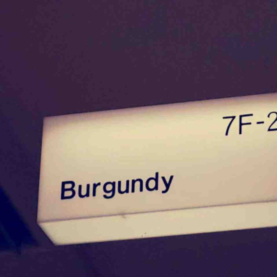 BURGUNDY-APM728 产品图