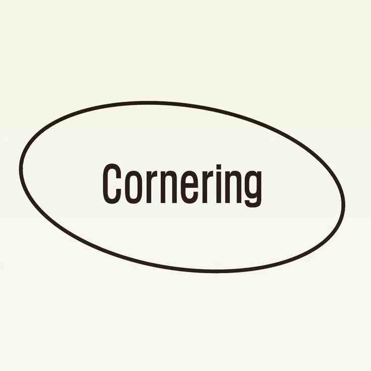 cornering饰品-Nuzzon 4f 809 产品图