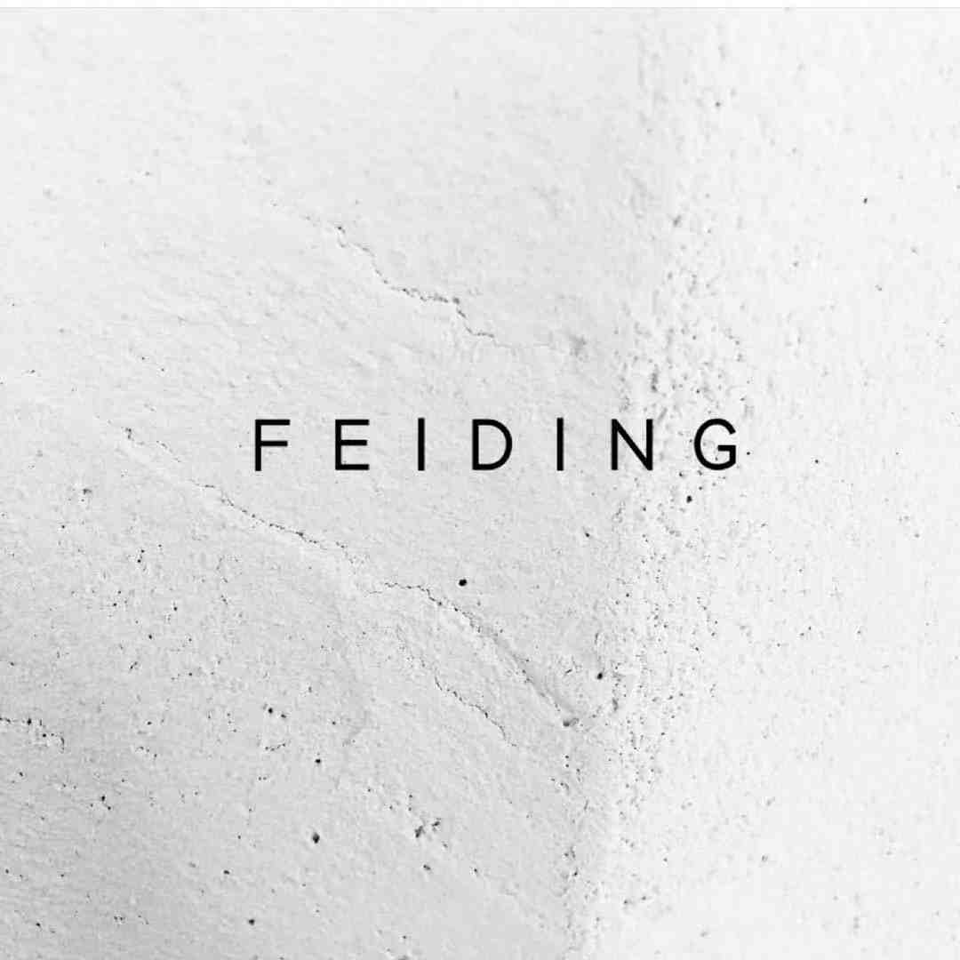 FEIDING非町-B453 产品图