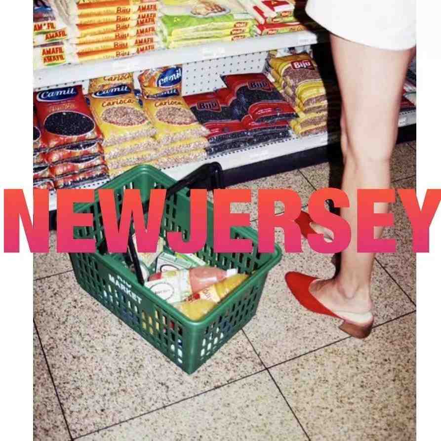 NEW JERSEY-APM318 产品图