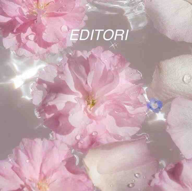 FULEEDIT728-729～妹妹 产品图