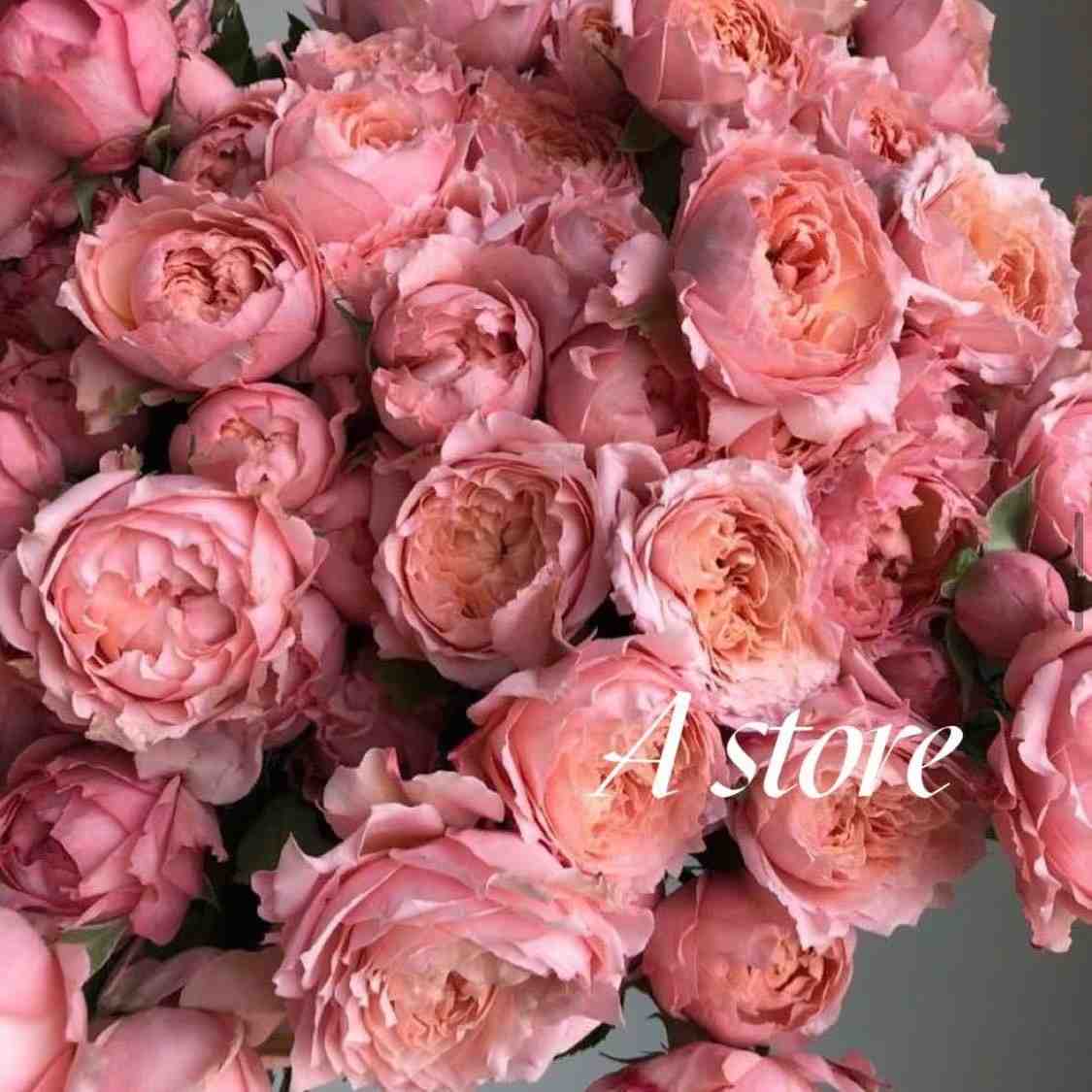 A STORE-APM321 产品图