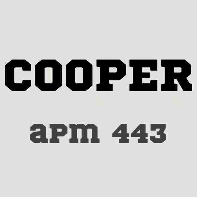 COOPER男装-APM 443 产品图