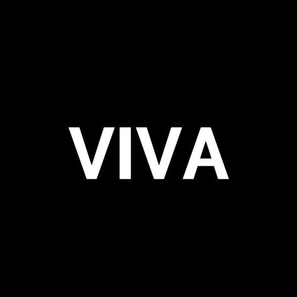 VIVA CHUN-南城3f加5 产品图