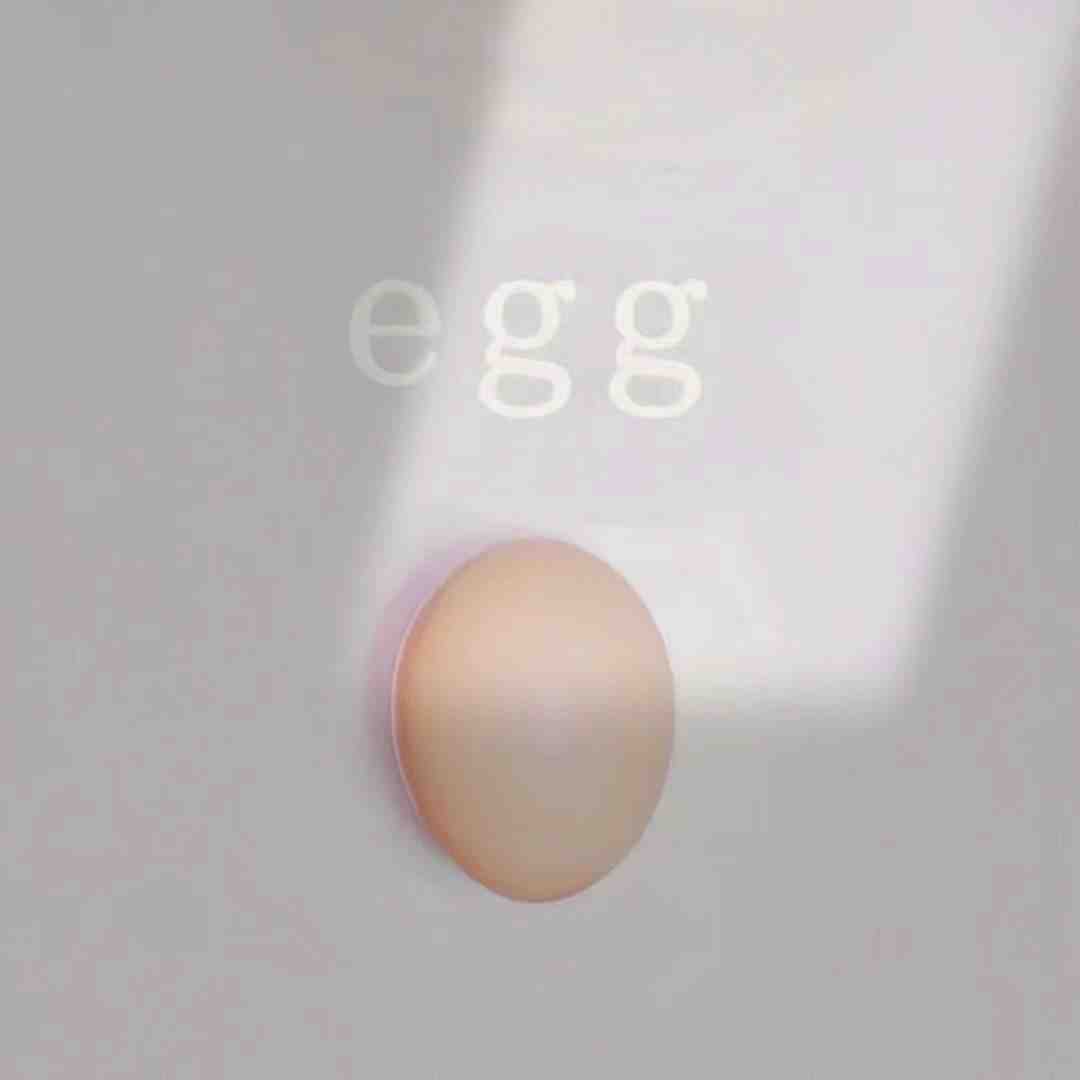egg（t恤）-金马3F 106 产品图