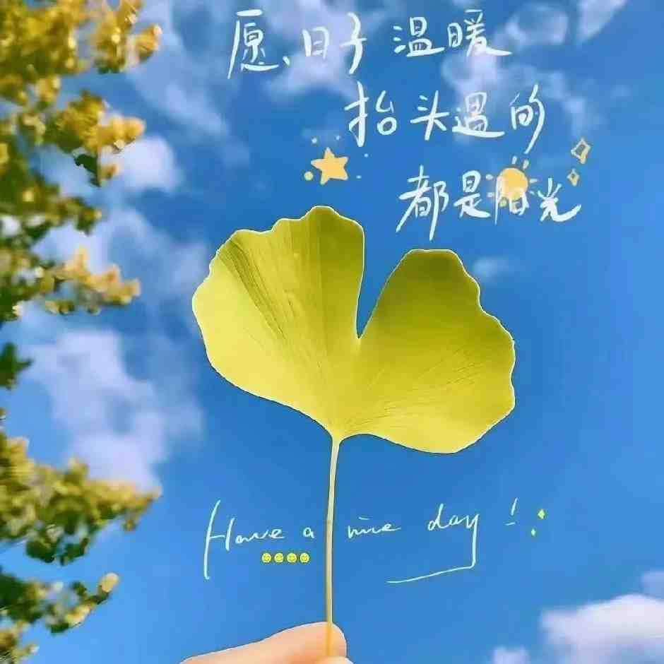 蒙迪MENGDIm 产品图