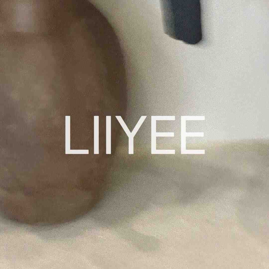 LIIYEE-中纺1-111 产品图
