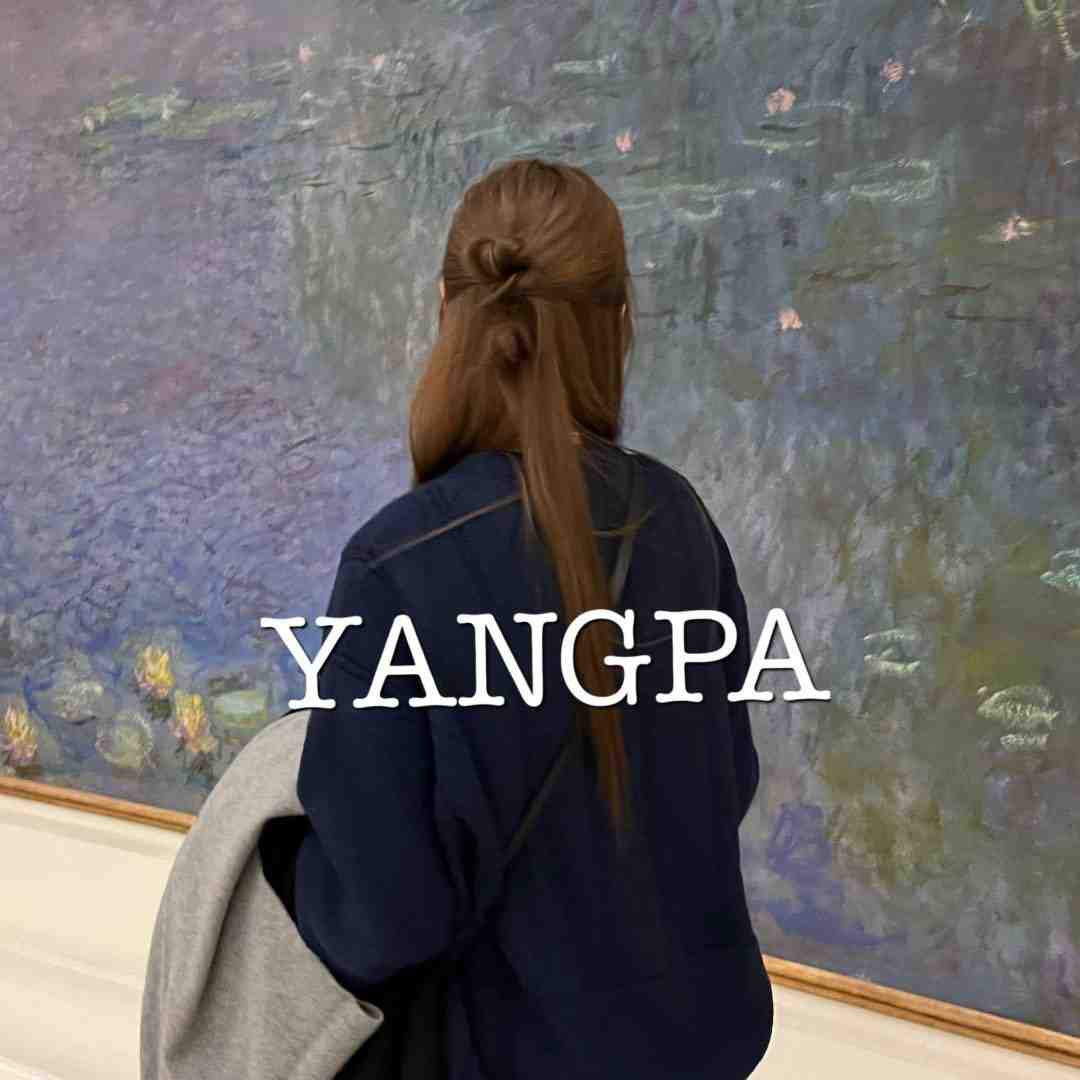 Yangpa大码女装-THEOT B2 N-14 产品图