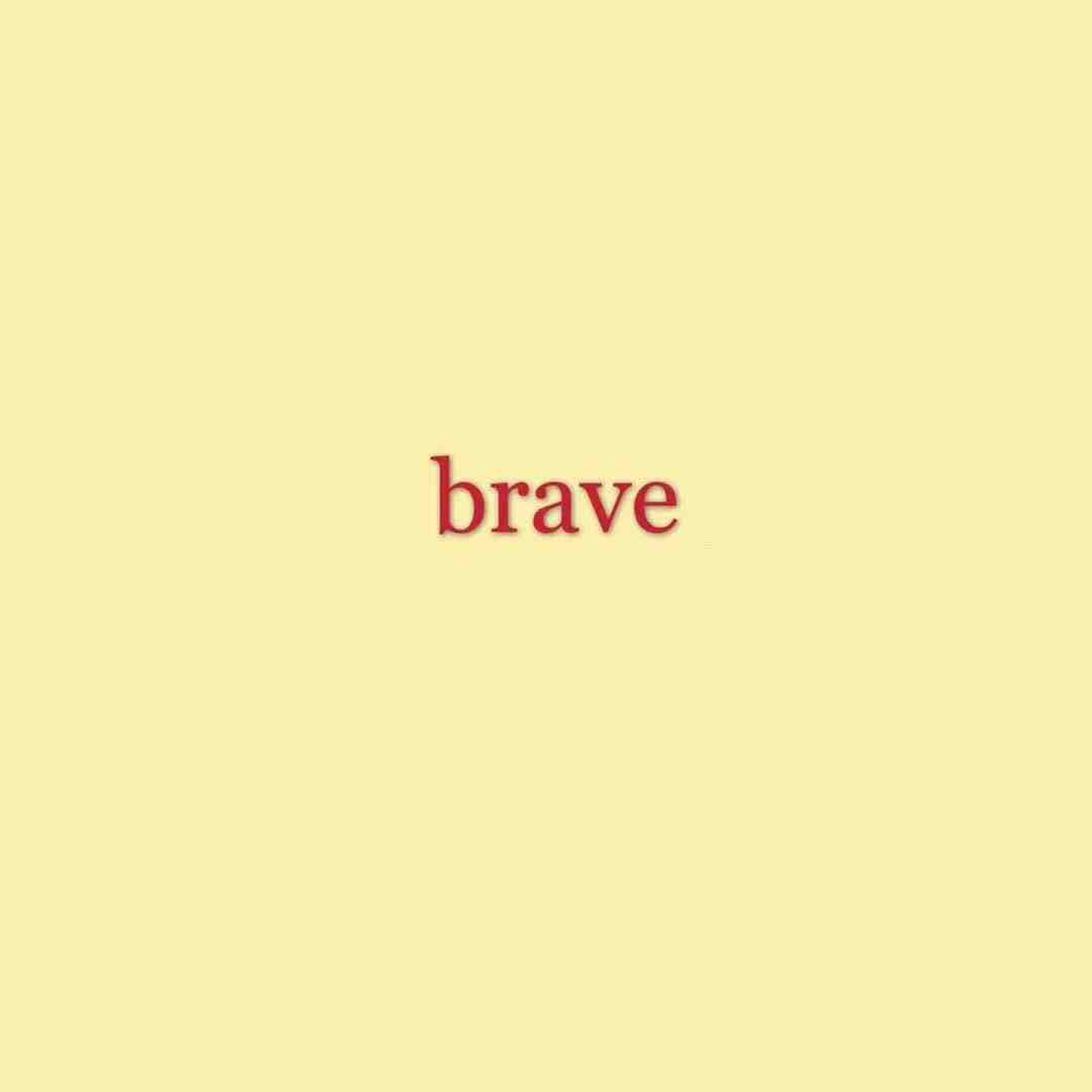 brave-负一C33A 产品图