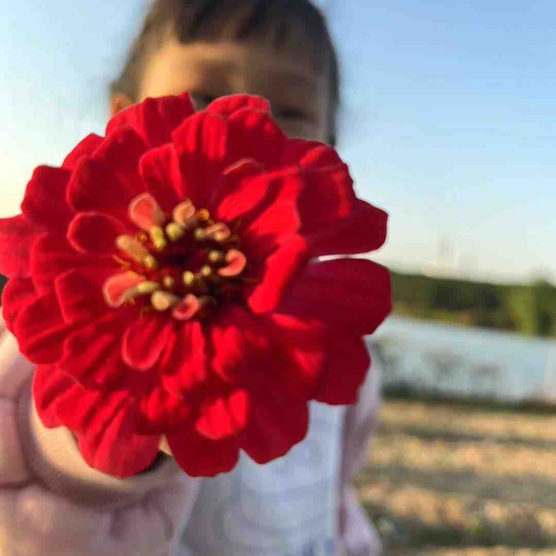 柚子家-金马3楼C232 产品图