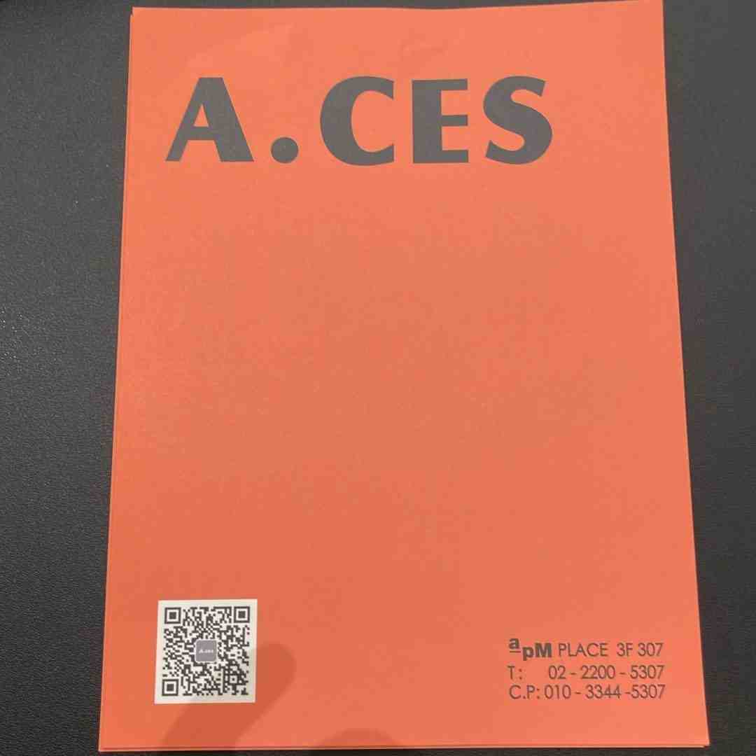 Aces-Apmplace 307 产品图