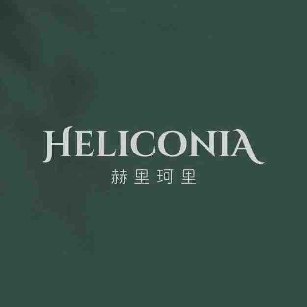 赫里珂里-汉京国际18BC 产品图
