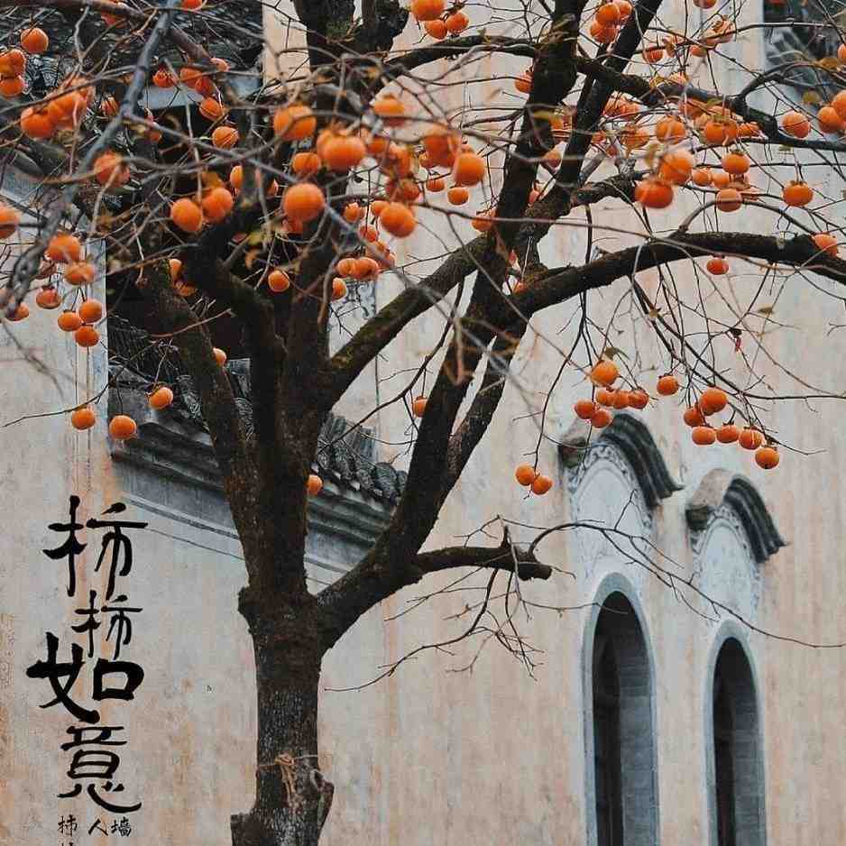 时墨兮家 新中式 产品图