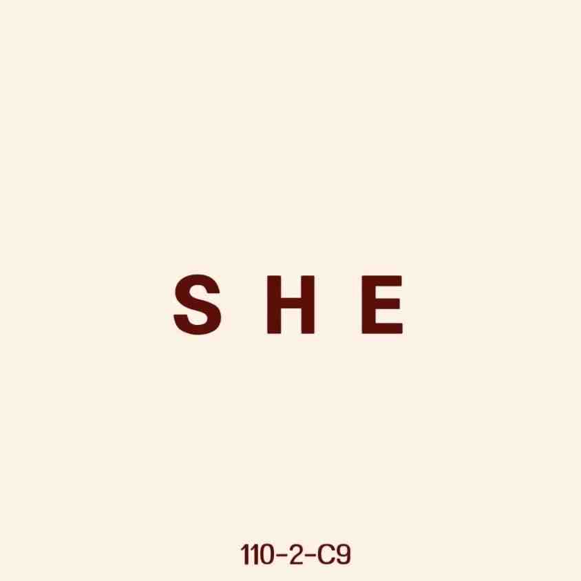 SHE-110栋2F C9 产品图