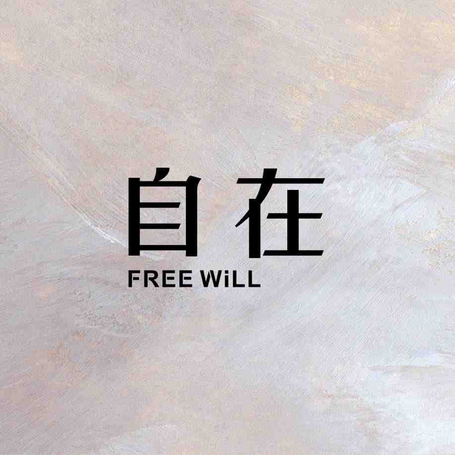 自在freewill-贵航B705A 产品图