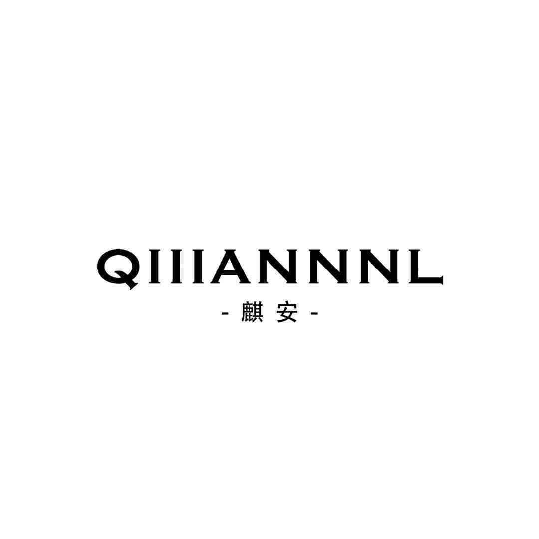 极致代码/麒安QIIIANNNL 产品图
