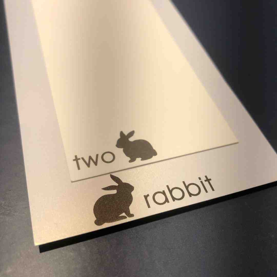 tworabbit-nuzzon 6F 223 产品图