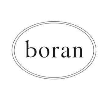 UUS-2F03  boran 产品图