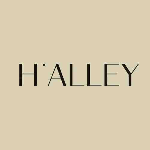 h.alley-theot 4b09 产品图