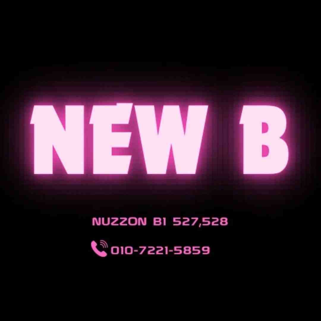 newb-NUZZON B1 527-8 产品图