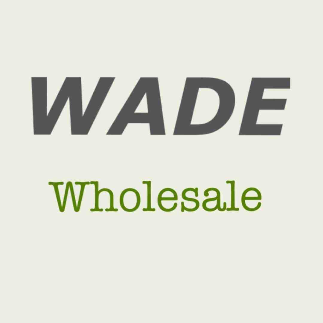 wade-theot b1 i18 产品图