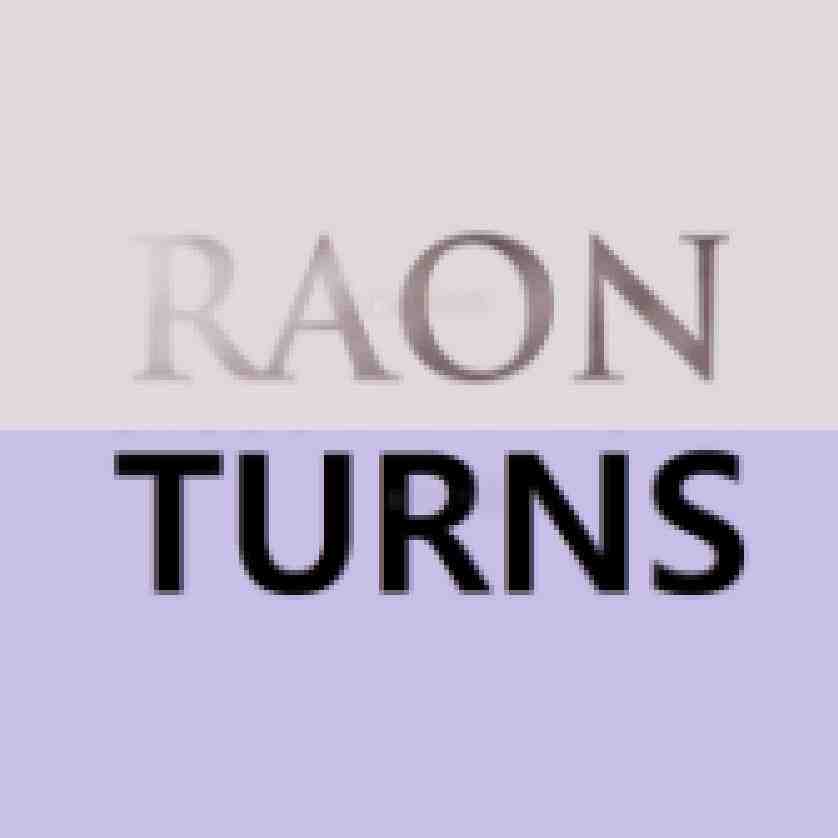 raonturns 产品图
