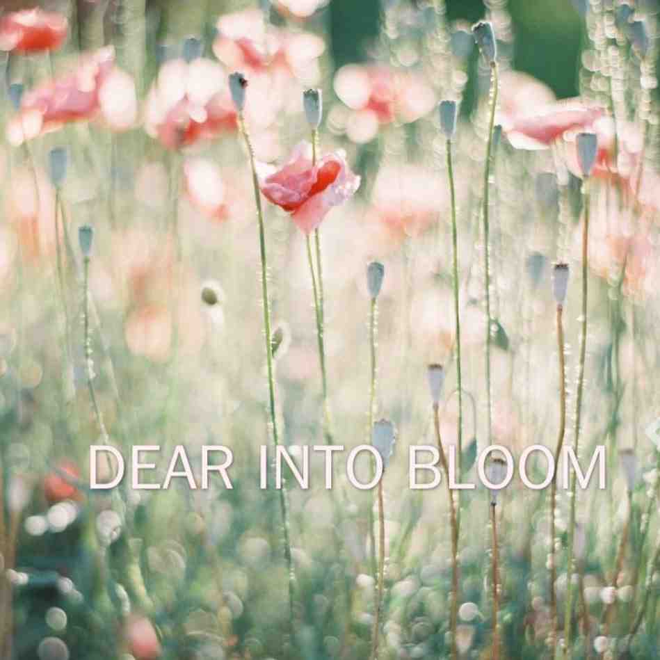 dear into bloom-Nuzzon 2F 116 产品图