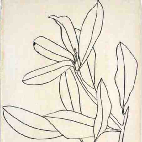 wooden-theot B/D B2-다10,11호 产品图