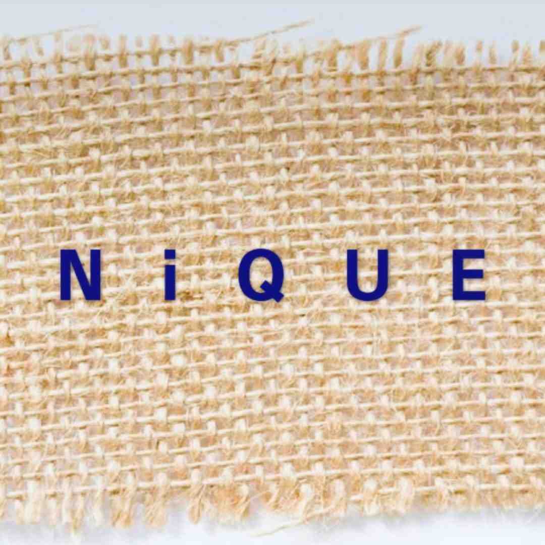 nique-TheOT B1F L-6 产品图
