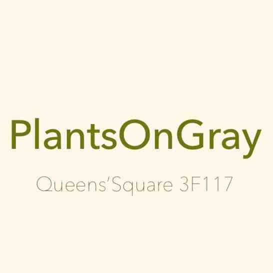 PLANTSONGRAY-Queen’s  3F117 产品图