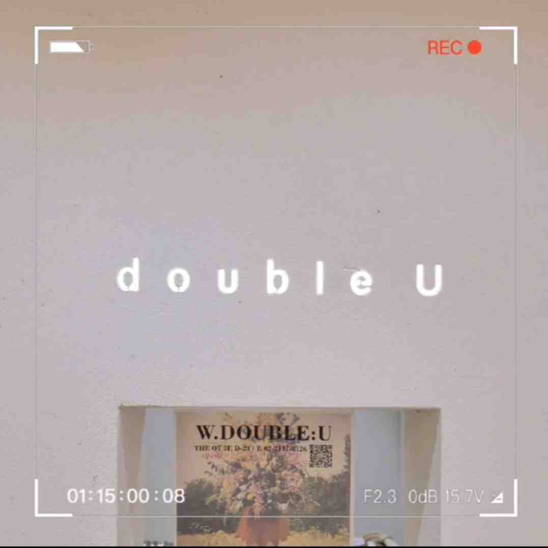 doubleu-THEOT 3f B21 产品图