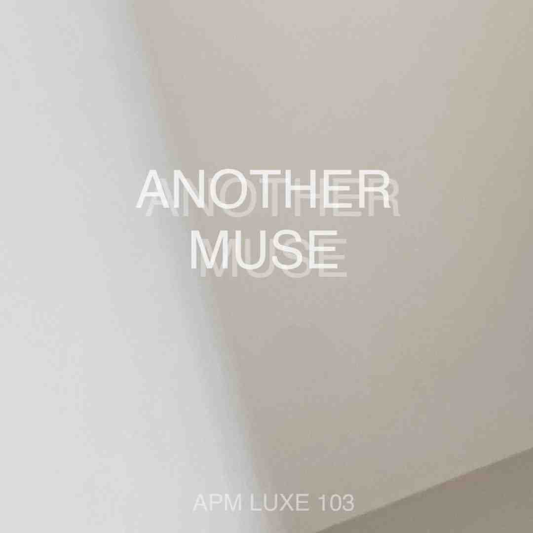 ANOTHER MUSE-apmluxe103 产品图
