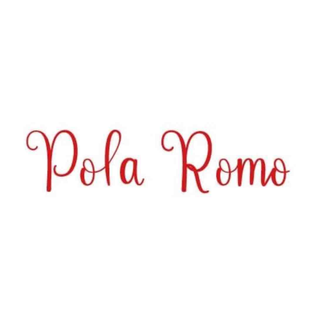 polaromo 产品图