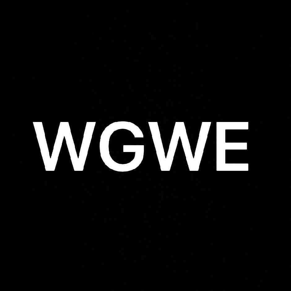 wgwe 产品图