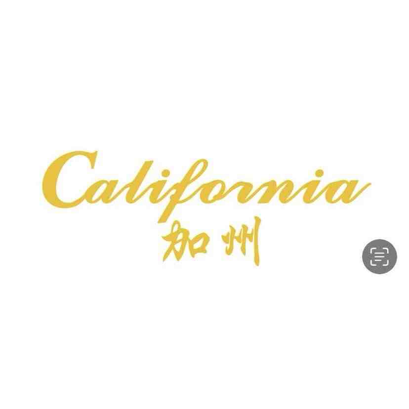 加州服饰-世贸8532b 产品图