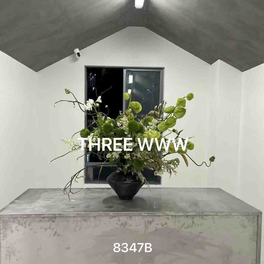 3W.-世贸8347B 产品图