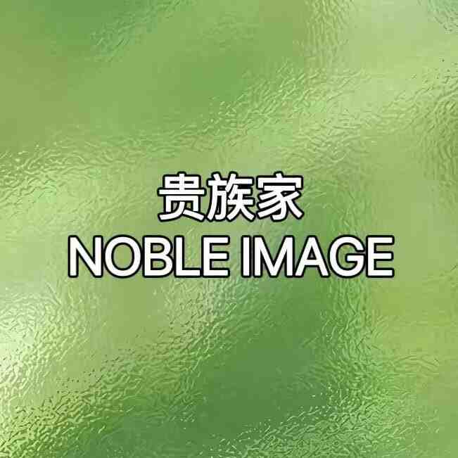 贵族家 -贵航B802A 产品图
